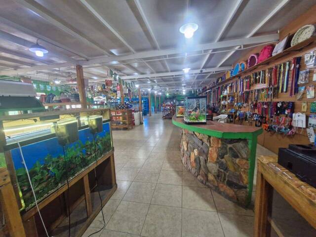 #302504 - Oficina para Venta en Guacara - G - 2
