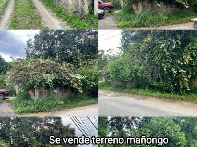 #302790 - Terreno para Venta en Valencia - G - 3