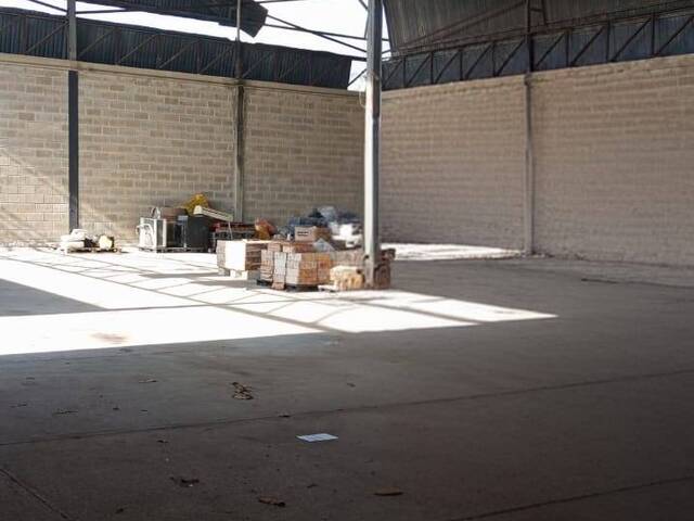 #303081 - Galpón para Venta en Valencia - G