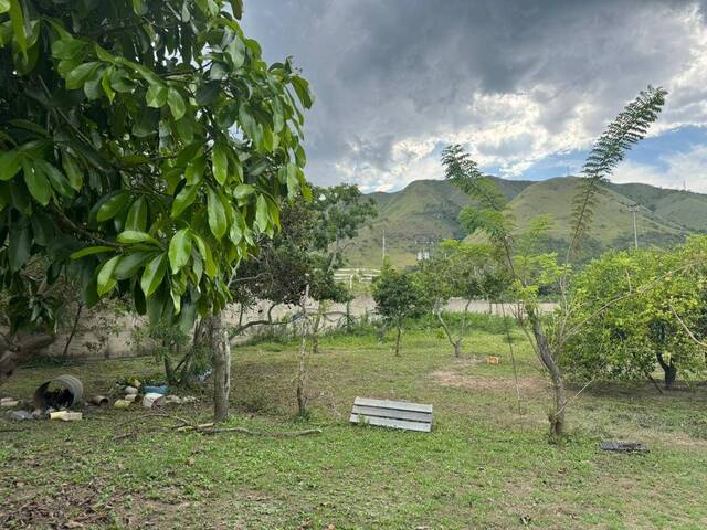 Terreno para Venta en Guacara - 4