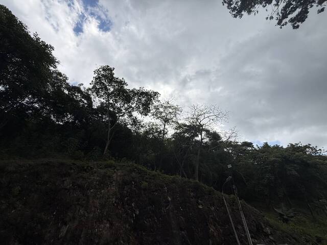 #28199 - Terreno para Venta en Valencia - G - 3