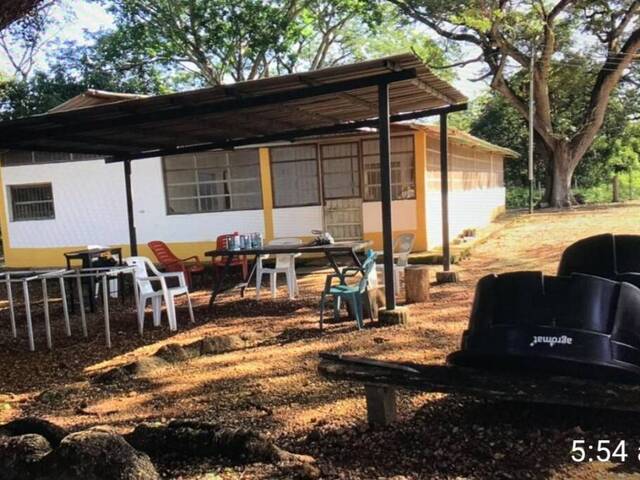 #304113 - Hacienda / Finca / Granja para Venta en Valencia - G - 1