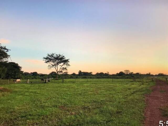 #304113 - Hacienda / Finca / Granja para Venta en Valencia - G - 2