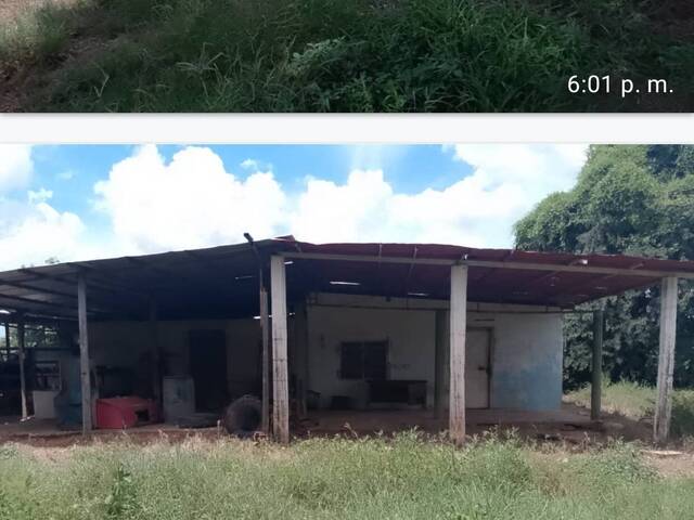 #303861 - mini finca para Venta en Valencia - G - 2