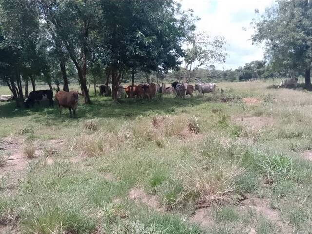 #303861 - mini finca para Venta en Valencia - G - 3