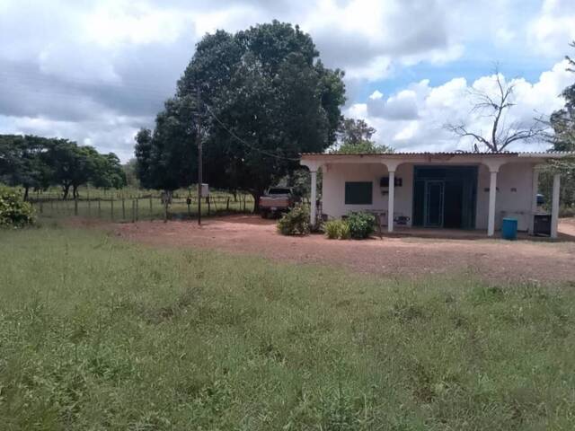 #303861 - mini finca para Venta en Valencia - G - 1