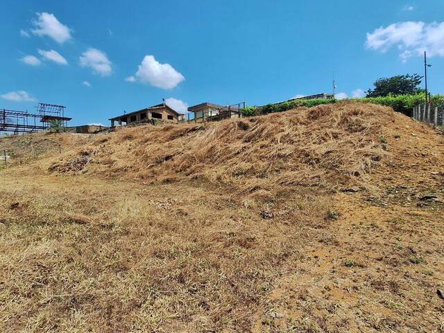 Terreno para Venta en Tocuyito - 4