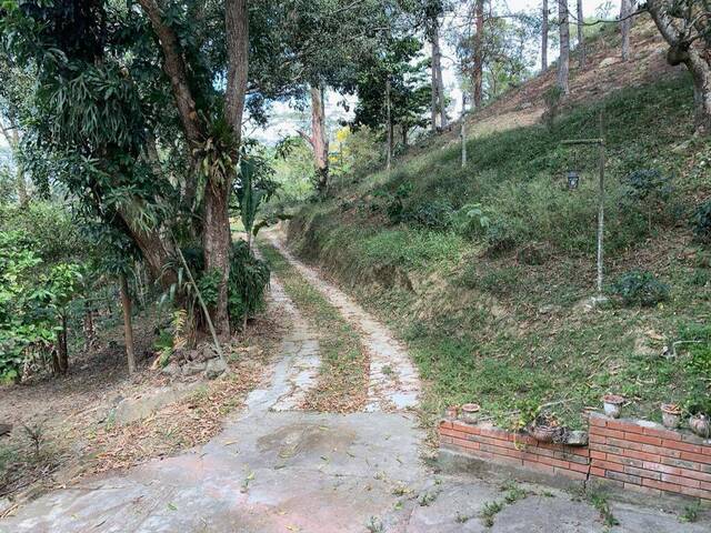 #28222 - Hacienda / Finca / Granja para Venta en Bejuma - G - 3