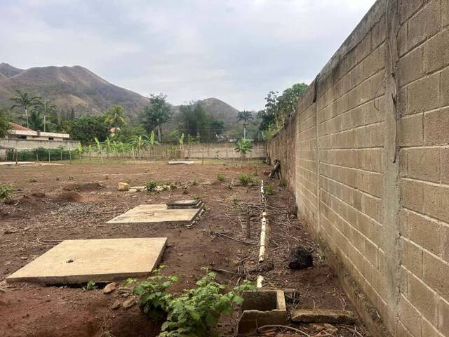 #304352 - Terreno para Venta en Valencia - G - 3