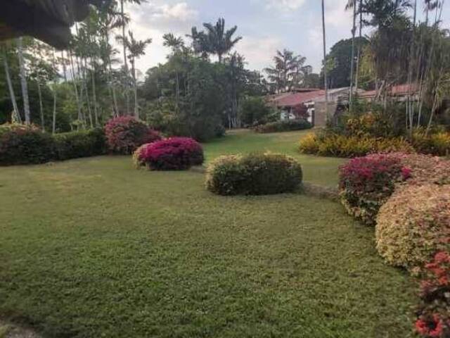 #304498 - Casa para Venta en Valencia - G - 3