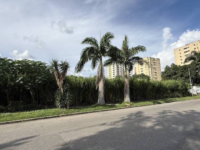 #305339 - Terreno para Venta en Valencia - G - 3