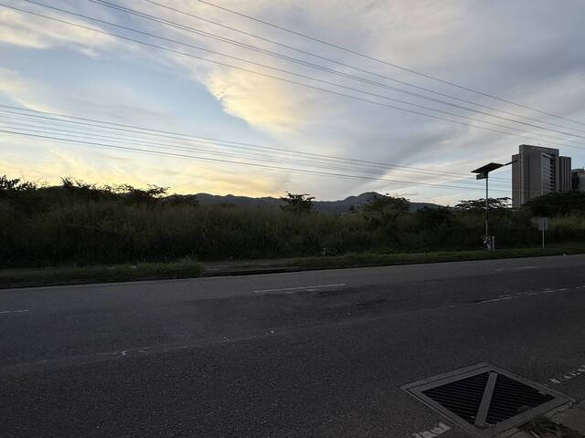 #303841 - Terreno para Venta en Valencia - G - 1