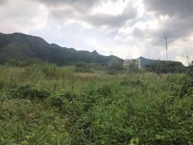 #305675 - Terreno para Venta en  Naguanagua - G - 1