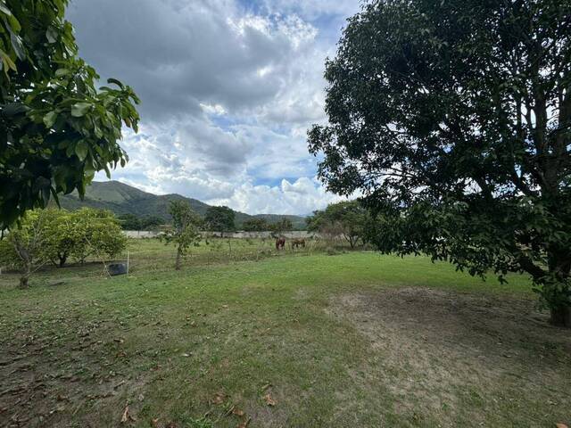 #307182 - mini finca para Venta en Guacara - G - 3