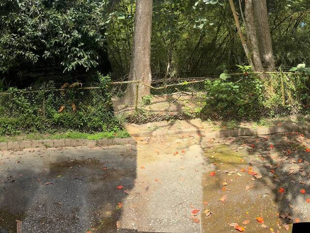 #3O8315 - mini finca para Venta en Montalbán - G - 1