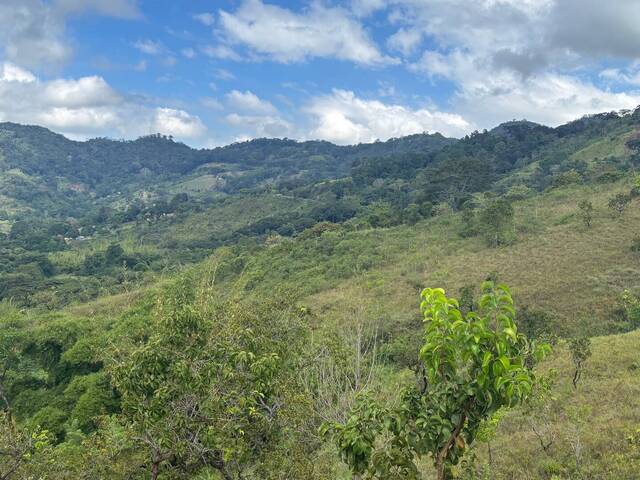 #308343 - mini finca para Venta en Montalbán - G - 1