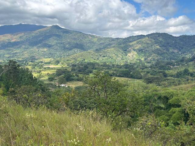 #308343 - mini finca para Venta en Montalbán - G - 2