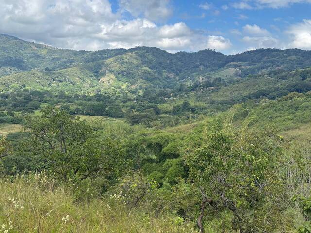 #308343 - mini finca para Venta en Montalbán - G - 3