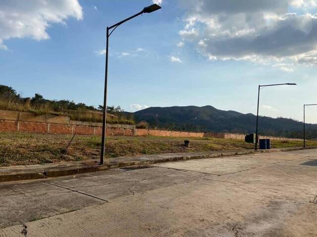 #309356 - Terreno para Venta en Valencia - G - 1