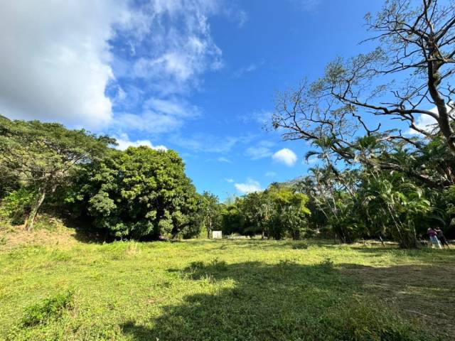 #309875 - mini finca para Venta en Valencia - G - 1