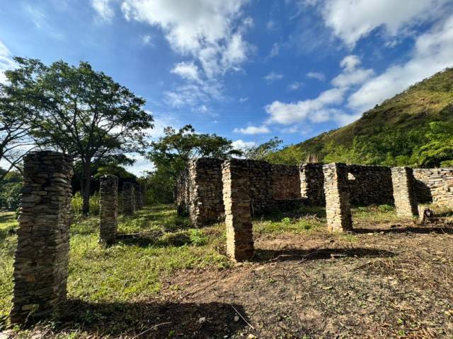 #309875 - mini finca para Venta en Valencia - G - 2