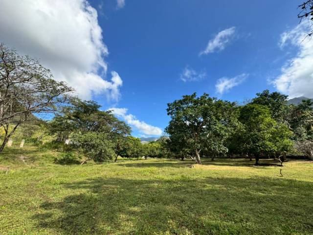 #309875 - mini finca para Venta en Valencia - G - 3