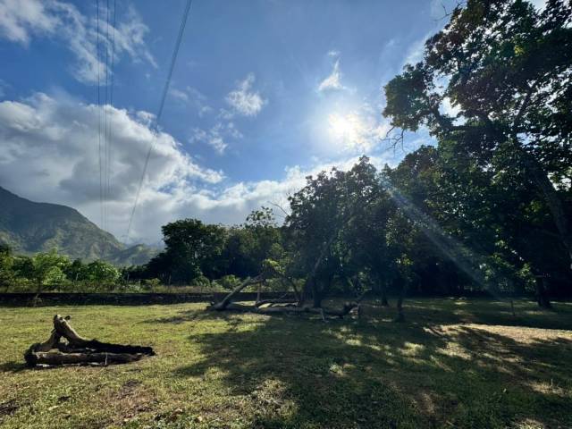 Mini finca para Venta en Valencia - 4