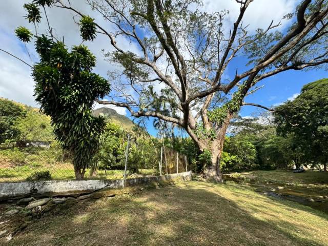 Mini finca para Venta en Valencia - 5