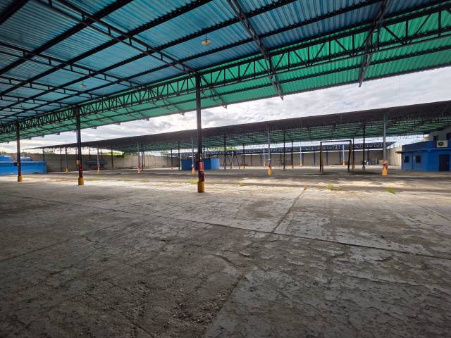 #310056 - Galpón para Venta en Valencia - G - 2