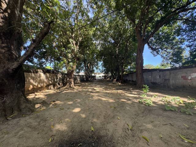 #312299 - Galpón para Venta en Tocuyito - G - 2