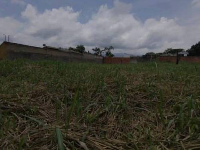 #28964 - Terreno para Venta en Valencia - G - 3