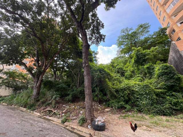 #313109 - Terreno para Venta en Valencia - G - 1