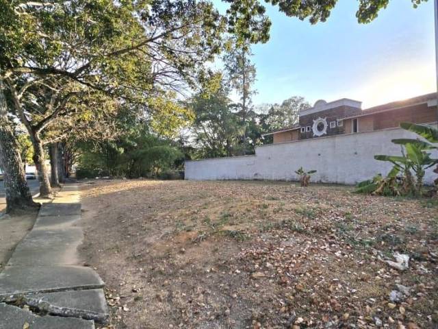 #373710 - Terreno para Venta en Valencia - G - 3