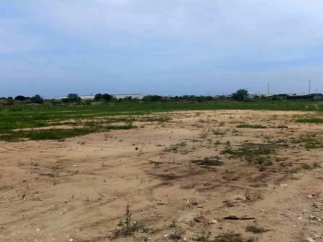 #313774 - Terreno para Venta en Puerto Cabello - G - 1