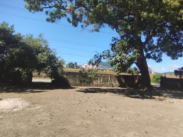 Terreno para Venta en Valencia - 4