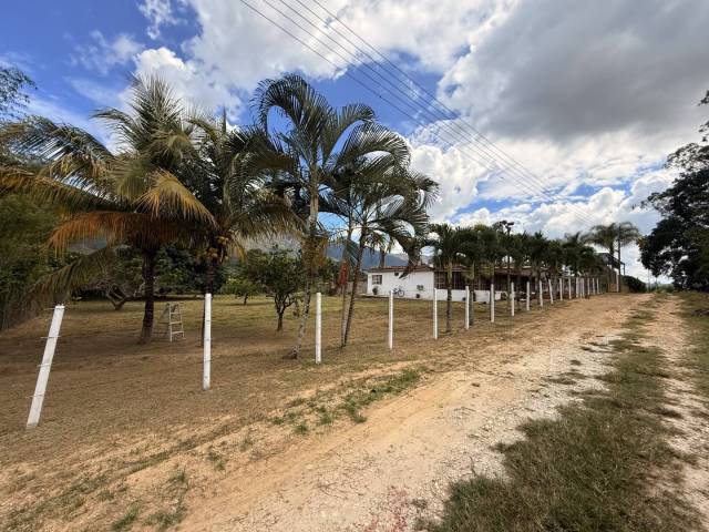 Hacienda / Finca / Granja para Venta en Bejuma - 5