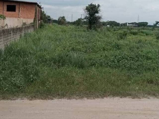 #316110 - Terreno para Venta en Valencia - G - 2