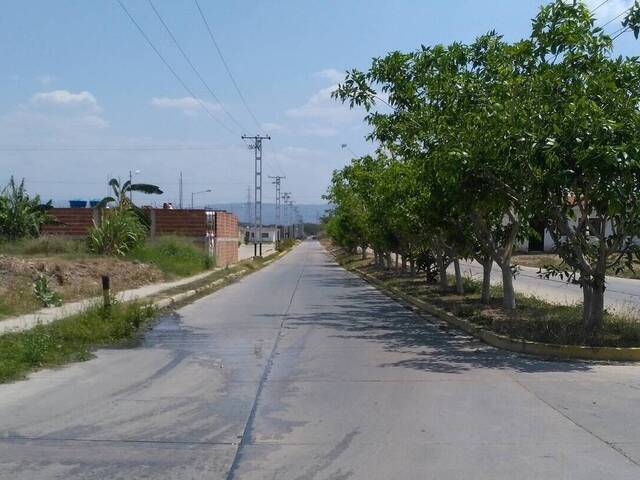 Terreno para Venta en Valencia - 5