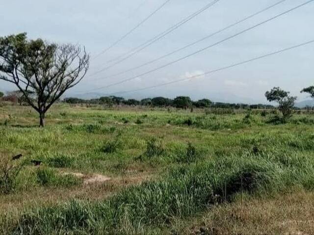 Terreno para Venta en Valencia - 3