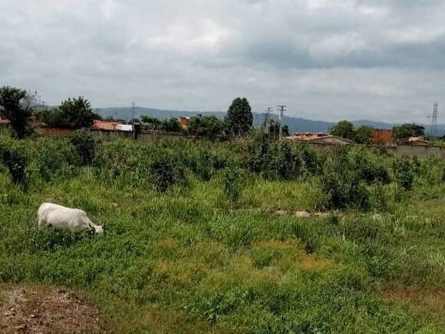 Terreno para Venta en Valencia - 5