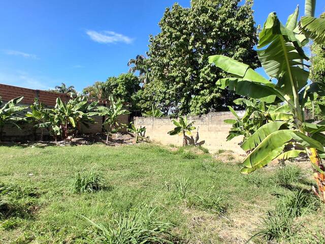 Terreno para Venta en Valencia - 4