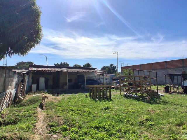 Terreno para Venta en Valencia - 5
