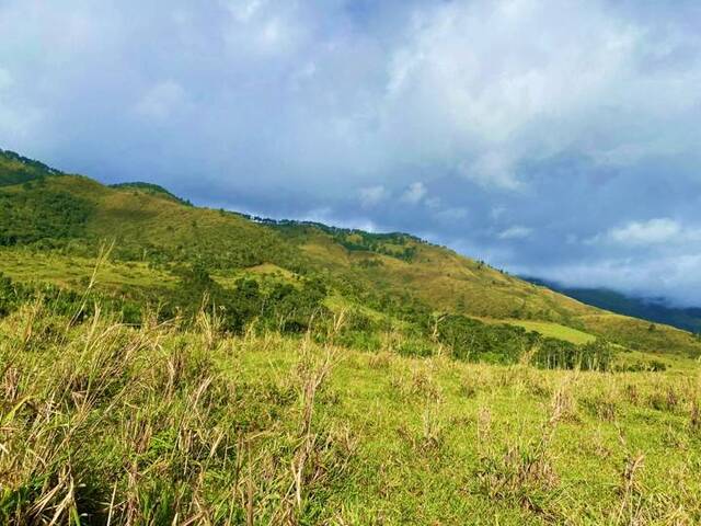 #317209 - Terreno para Venta en Nirgua - U