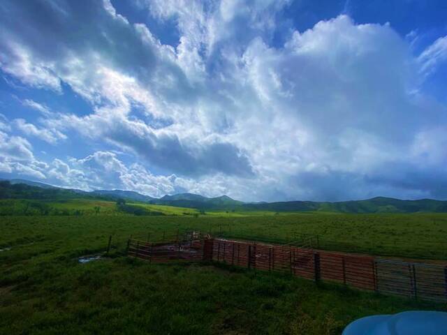 #317209 - Terreno para Venta en Nirgua - U