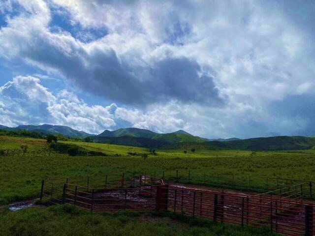 Terreno para Venta en Nirgua - 4