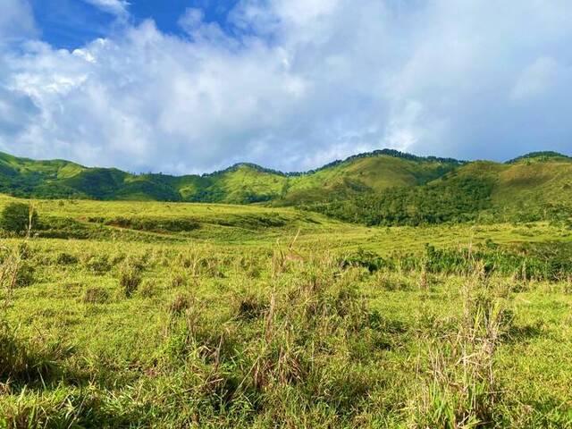#317209 - Terreno para Venta en Nirgua - U