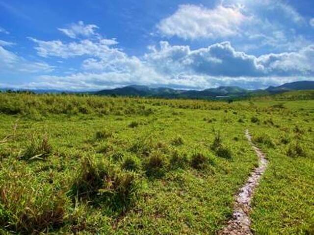 Terreno para Venta en Nirgua - 5