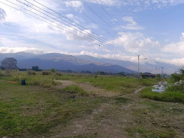 #317534 - mini finca para Venta en Montalbán - G