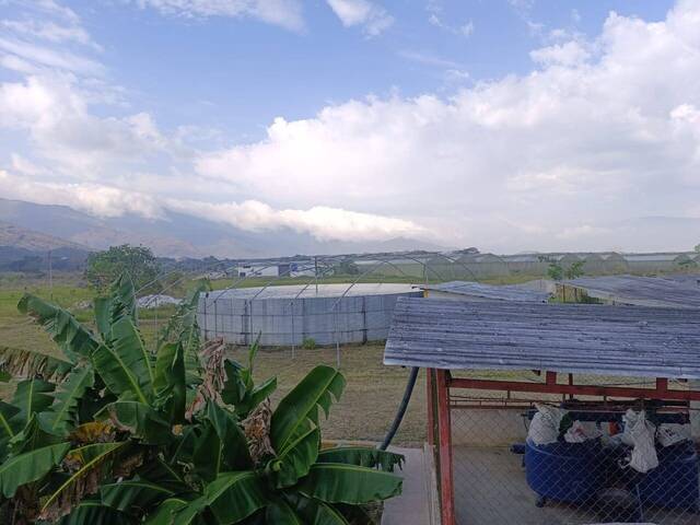 #317534 - mini finca para Venta en Montalbán - G