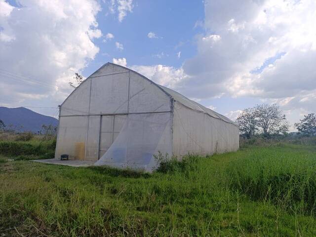 #317534 - mini finca para Venta en Montalbán - G